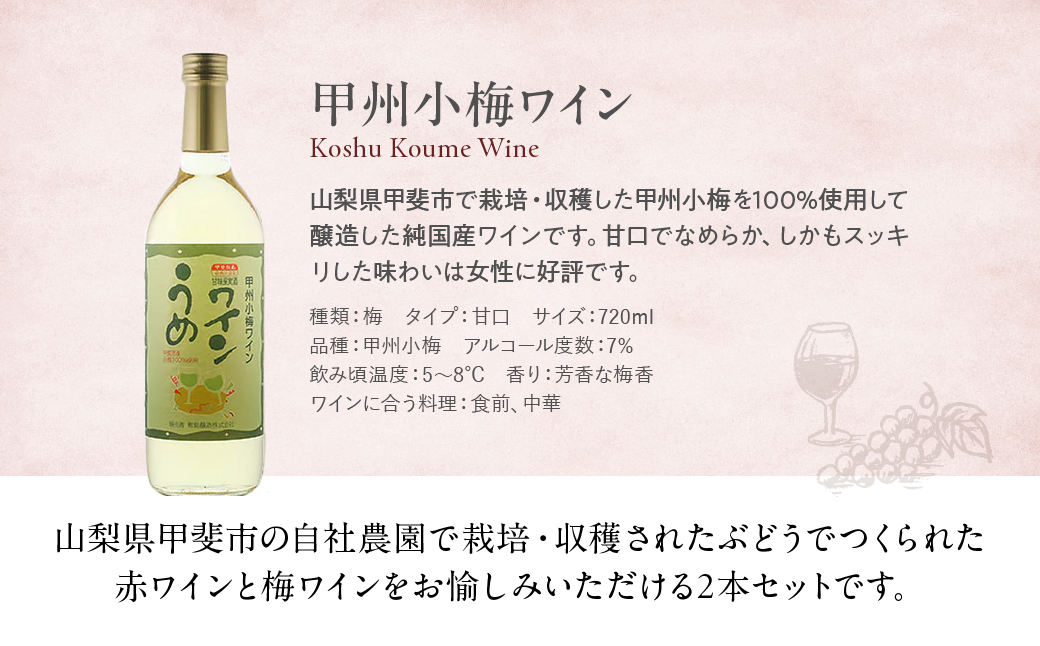 敷島醸造　敷島　赤・甲州小梅ワインセット