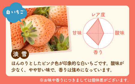 【先行予約】淡雪＆さがほのか 赤白 いちごセット200g × 2パック 合計400g（化粧箱入り） /赤いちご 白いちご 紅白いちご 赤白いちご 甘〜いいちご 化粧箱入りいちご 食べ比べいちごパック 