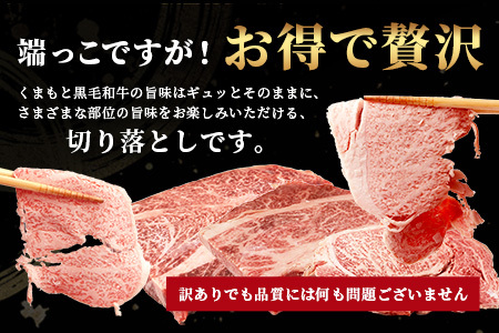 【訳あり】くまもと黒毛和牛 の 端っこ (不揃い) 切り落とし 切れ端 500g 本場 熊本県 ブランド 牛 黒毛 和牛 上質 国産 牛肉 熊本県 113-0528