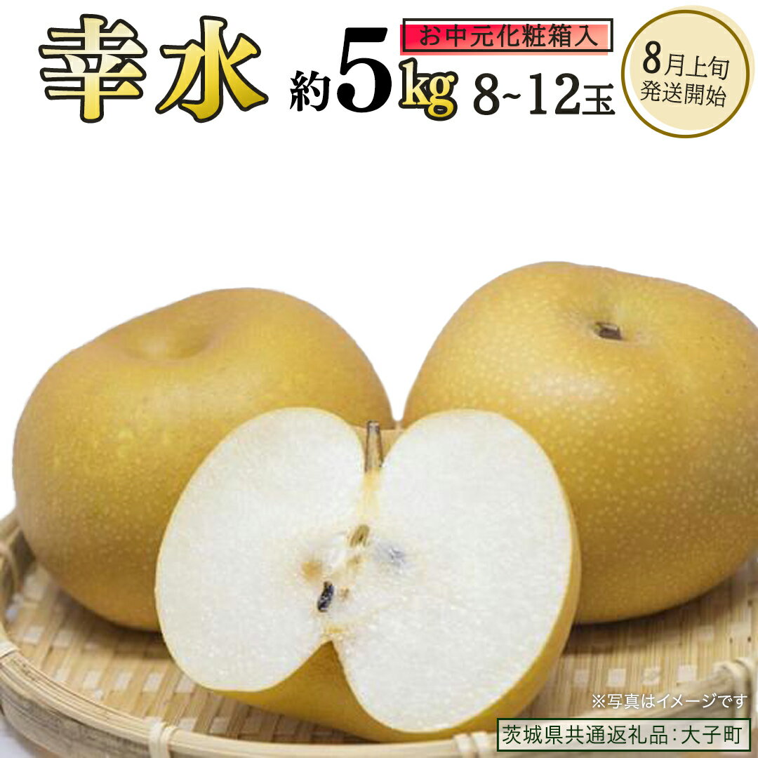 【ふるさと納税】《 お中元 化粧箱入り 》 幸水 約5kg (8～12玉)【2026年8月上旬発送開始】(茨城県共通返礼品：大子町) 梨 なし 果物 くだもの フルーツ
