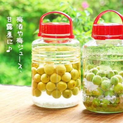 ふるさと納税 有田川町 青梅 南高梅 約5kg 秀品  サイズミックス 和歌山県産 A品 梅酒作り用 梅ジュース作り用 |  | 02