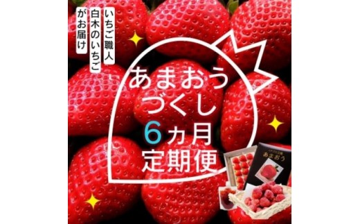 
                  定期便 6ヶ月 いちご いちご職人 白木のいちご あまおうづくし 6回 コース イチゴ 苺 果物 デザート お楽しみ ※配送不可：沖縄・離島
                