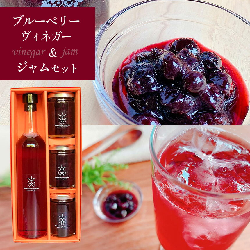 【ふるさと納税】 ブルーベリーヴィネガー＆ジャム3本セット ｜ フルーツ 果物 ブルーベリー 自家栽培 ジャム ヴィネガー 黒酢 お酢 無添加 セット 詰め合わせ 贈答用 山口 美祢市 美祢 特産品