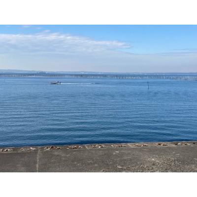 ふるさと納税 西尾市 愛知の海が育ててくれた　はねだし焼きのり　100枚・M067-13 |  | 03