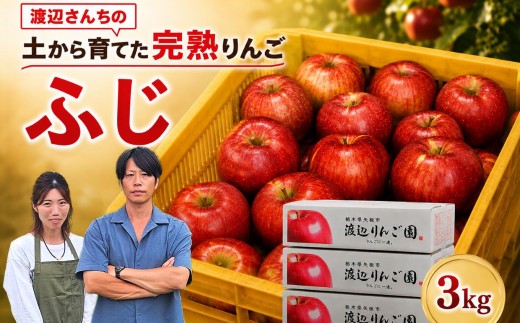 
                  りんご 完熟 ふじ 3kg 箱｜【11月下旬より順次お届け】リンゴ 林檎 フルーツ 果物 栃木県矢板市産
                