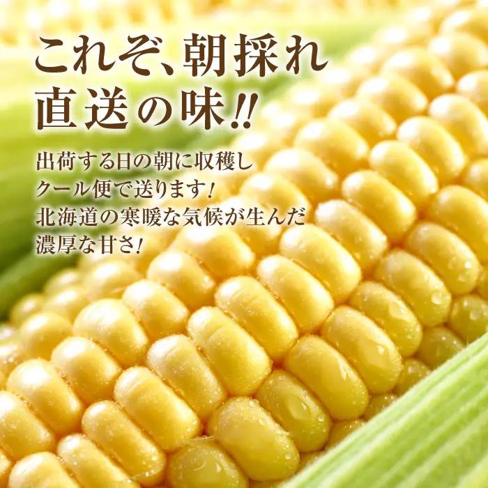 【北海道恵庭市産】朝どりスイートコーン×20本 北海道産 とうもろこし ふるさと納税 北海道 恵庭市【31000103】
