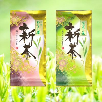 ふるさと納税 静岡市 [大高茶園] 令和8年の新茶 お茶処静岡 特選やぶきた新茶と深蒸し新茶 飲み比べセット
