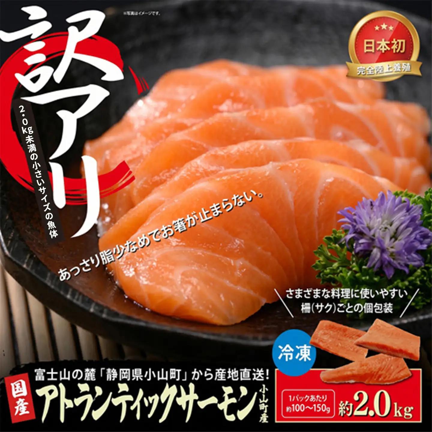 サーモン 訳あり 約2kg 国産サーモン