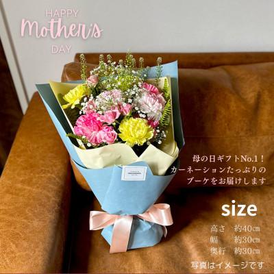 ふるさと納税 小田原市 《母の日限定》カーネーションのブーケ |  | 01
