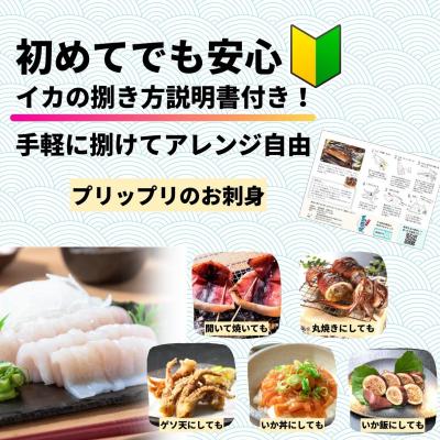 ふるさと納税 海士町 【のし付き】スルメイカ 丸ごと5本 1kg 寒シマメ いか イカ 鮮度そのまま CAS 冷凍 個包装 |  | 03