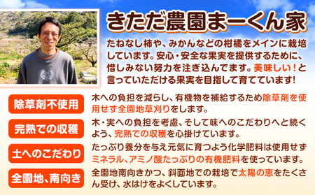 紀の川市不知火 まーくん家の不知火 5kg きただ農園まーくん家《2月末-3月下旬頃出荷》和歌山県 紀の川市 柑橘 化学肥料・除草剤不使用 しらぬい