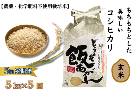 【定期便5回】もちもちとした美味しいコシヒカリ玄米【農薬・化学肥料不使用栽培米】5kg×5回（計25kg）：C111-010
