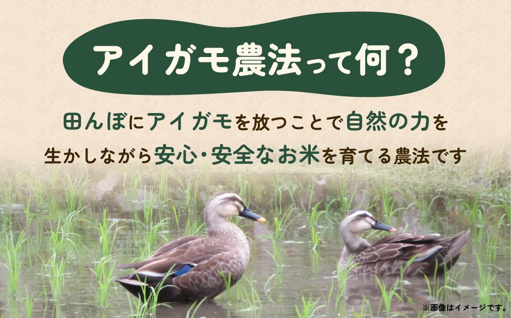 アイガモ栽培 コシヒカリ 10kg （5kg×2袋）