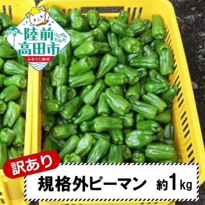 ふるさと納税 陸前高田市 【先行受付】 訳あり 規格外 ピーマン 約1kg 野菜 夏野菜 Farm Koganeyama