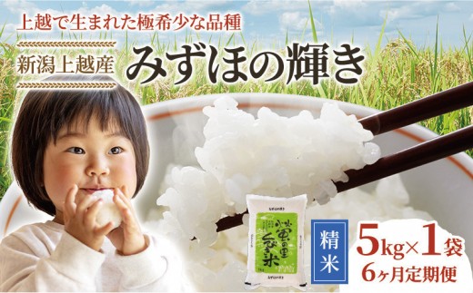【精米したて！】 令和8年産 新潟県上越市産 みずほの輝き 定期便 5kg×6回 30kg 新米 先行予約 蛍の里