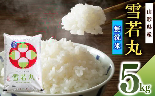 【無洗米】令和7年産 雪若丸 5kg×1袋 山形産【2025年10月中旬頃より順次配送予定】2025年産 山形県産　018-C-SR007