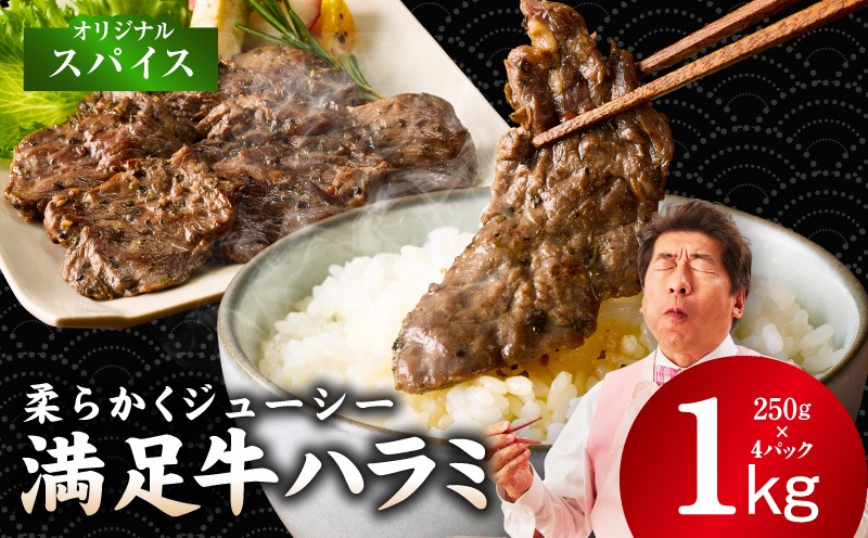 099H4182 【満足牛ハラミ】オリジナルスパイス仕込み 合計1kg 【味付け ハラミ 小分け 焼くだけ 簡単調理 BBQ 牛肉 250g×4P 普段使い】