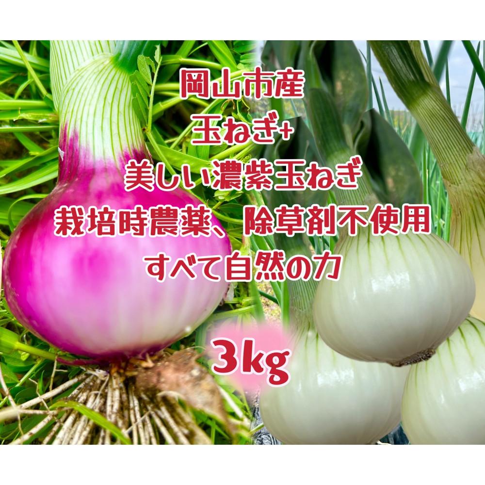 【ふるさと納税】甘すぎ新鮮岡山産 みずみずしい【白玉ねぎ+赤玉ねぎ】3kgセット家庭用 減化学肥料 タマネギ 生食 健康 野菜 食品 食べ比べ 培期間中農薬・除草剤不使用 自然の力 訳あり(サイズ混合) | 野菜 やさい 食品 人気 おすすめ 送料無料