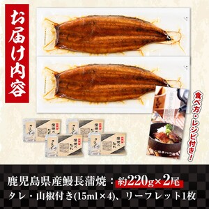 i1078-A-m 【母の日ギフト】＼特大サイズ／鹿児島県産 うなぎ蒲焼 2尾（約220g×2・計約440g） たれ 山椒付きうなぎ 鰻 ウナギ 特大 特大サイズ 約220g 蒲焼き 国産 鹿児島県産