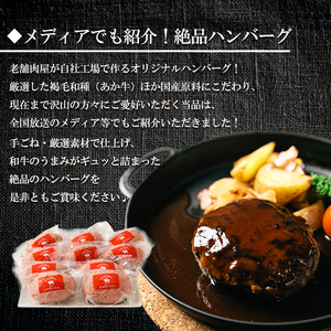 【矢野畜産】熊本県産 褐毛和種 あか牛 手ごね生ハンバーグ 150g×10個 計1.5kg 産地直送 手づくり 国産原料 和牛 あかげわしゅ にくやの プレミアム オリジナル メディア紹介 添加物不使