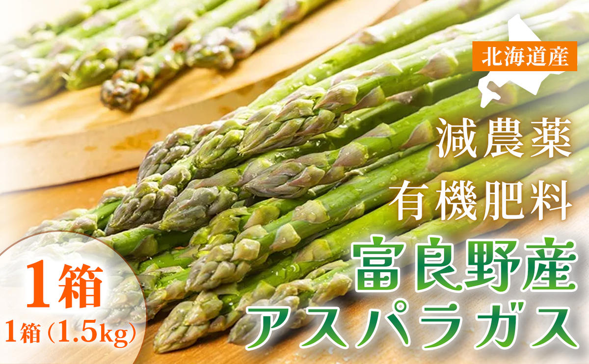 【春野菜 鮮度抜群 】富良野産 アスパラガス サイズ無選別 S～2L混合 1.5kg×1箱｜北海道富良野市 4～5月上旬発送 シャキシャキ食感 贅沢 ギフト プレゼント アスパラ グリーンアスパラ 料理用 春季限定