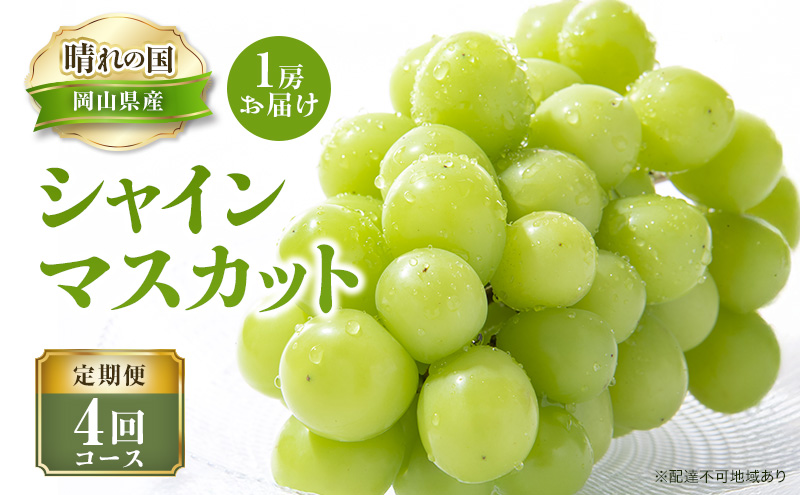 【 2026年 先行予約 】ぶどう 晴れの国 シャインマスカット 1房 定期便 4回 コース 《2026年7月-12月出荷》 葡萄 ブドウ 岡山県産 フルーツ 果物 数量限定 里庄町 