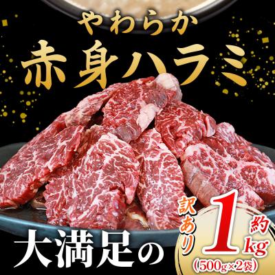 ふるさと納税 西予市 <麹熟成で旨み引き立つ!やわらか赤身ハラミ 約1kg(500g×2)> 訳あり はらみ ハラミ 赤身 |  | 02
