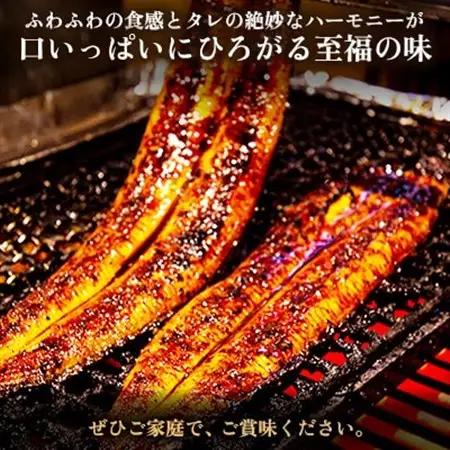 ヒロシのおすすめ!鰻の名店『うな雅』国産 手焼き 鰻【特上】かば焼き 2尾 350g～380g_魚介・海産物 うなぎ  ウナギ 鰻_【配送不可地域：離島】【1600553】