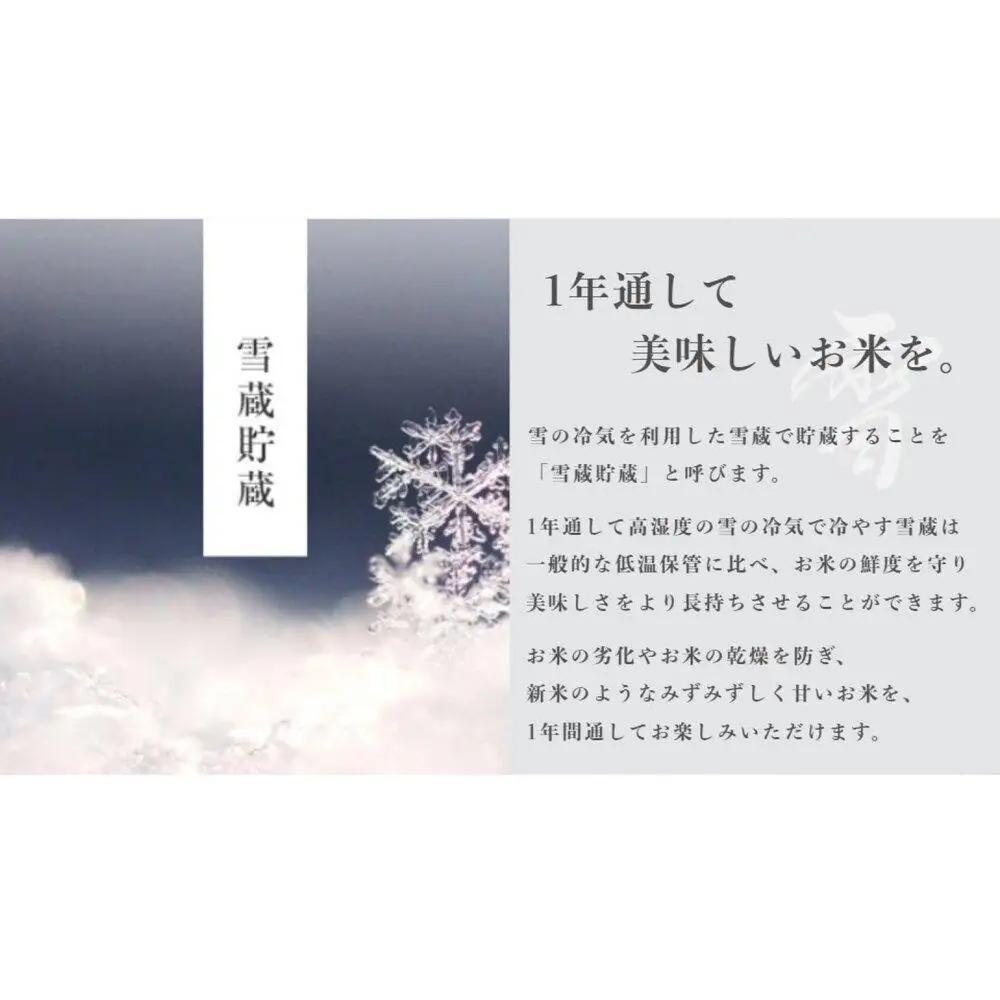 《 令和7年》《 雪蔵貯蔵米 》 最高金賞受賞 南魚沼産コシヒカリ 雪と技 真空パック 2合 × 12袋  農薬8割減・化学肥料不使用栽培｜コシヒカリ
