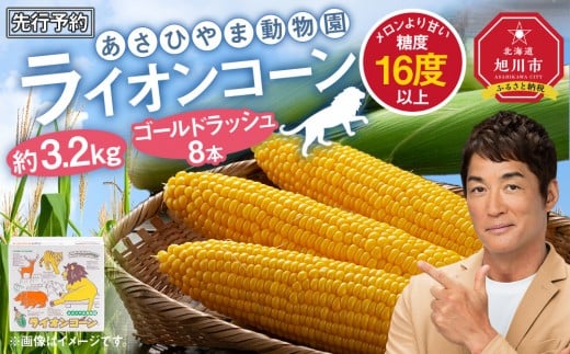 
            【先行予約】あさひやま動物園ライオンコーン約3.2kg(ゴールドラッシュ8本)2025年8月下旬～発送開始予定 【 とうもろこし 人気 北海道 糖度 野菜 スイートコーン 産地直送 ゴールドラッシュ コーン 旬 お取り寄せ 旭川市 北海道 】_03812
          