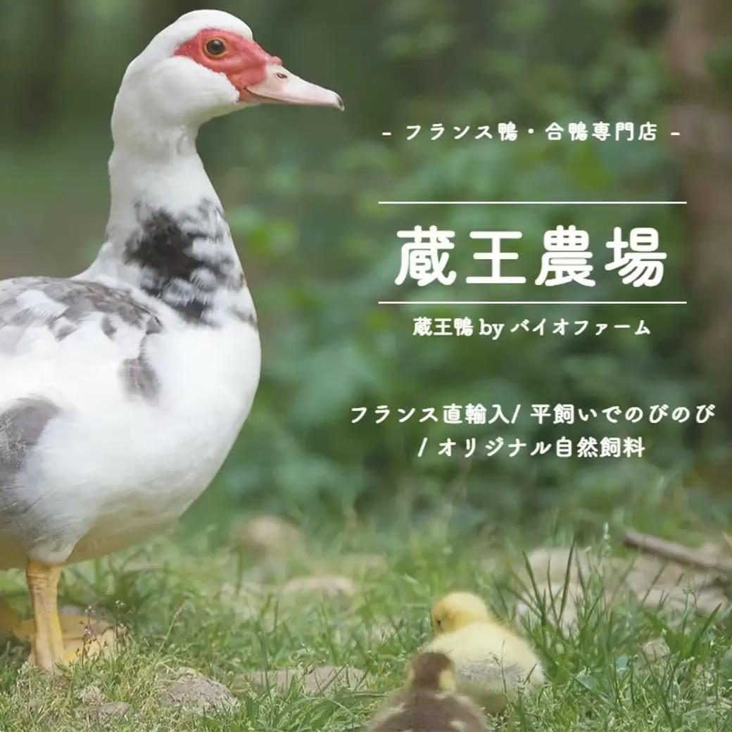 蔵王鴨　ジャーキー　40g×2袋　【04301-0788】
