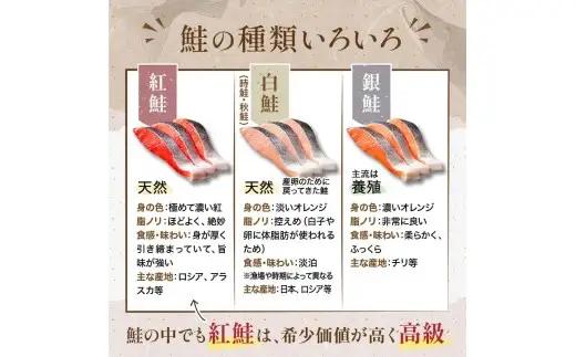 【 訳あり 】 天然紅鮭切落し 500g × 2袋 1kg 天然紅鮭 天然 紅鮭 鮭 さけ サケ 魚類 魚 魚介 魚介類 海鮮 冷凍 切落し 切り身 酒肴 晩酌 おかず つまみ