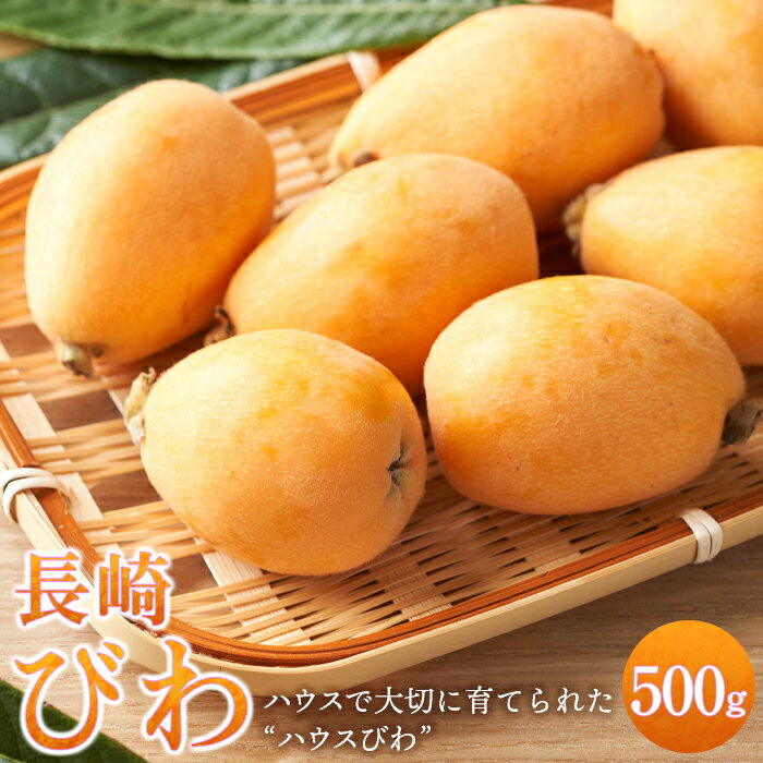 【ふるさと納税】【先行予約 2026年3月下旬より順次発送】長崎ハウスびわ 500g | 長崎 びわ 長崎県 九州 先行受付 数量限定 500g 送料無料 果物 フルーツ お取り寄せ 人気 おすすめ