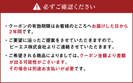 ピーエスクーポン 10万円分×10枚 (カタログ3冊付き) 快適空間 電気ヒーター ヒーター 安全 暖房 冷房