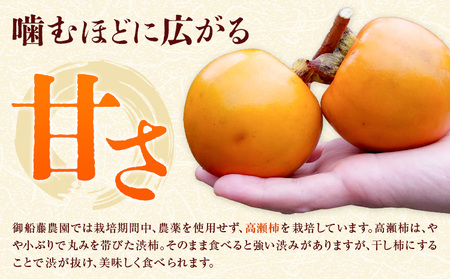 干し柿 8個 柿 果物 フルーツ かき 高瀬柿 御船藤農園《12月中旬-1月中旬頃出荷》熊本県 御船町 ドライフルーツ 甘味 くだもの 和菓子 熊本県産 おやつ スイーツ