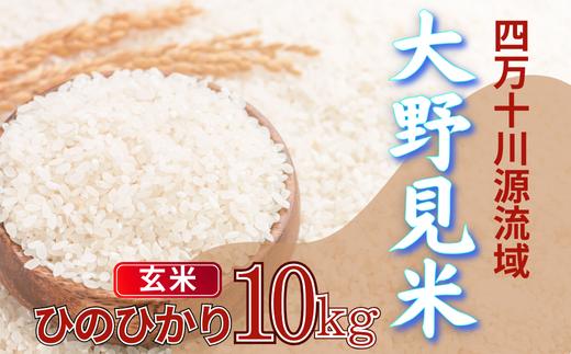 大野見米 ヒノヒカリ 玄米 10kg お米 米 四万十 高知産 古谷農園