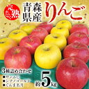 【ふるさと納税】「青森県五戸町産」りんご3種詰め合わせ　約5kg(14～18玉)【配送不可地域：離島・沖縄県】【1137377】