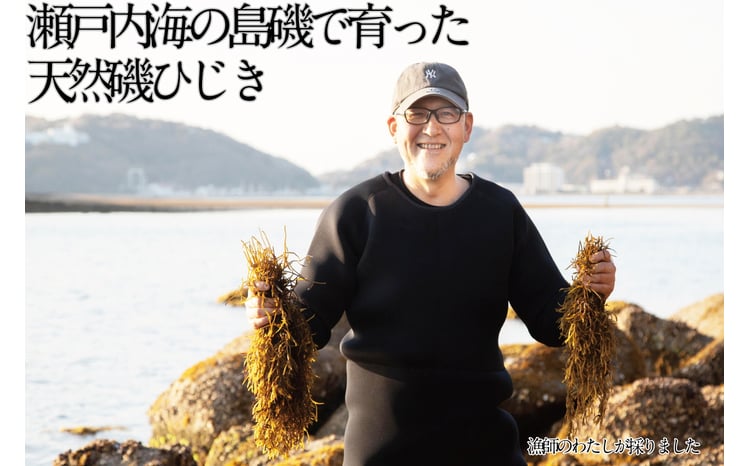 生炊きだからおいしい 瀬戸内 ひじき 28g×9袋 エビス水産【岡山 瀬戸内海 鉄釜炊 生炊 天然 乾燥】