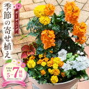 【ふるさと納税】ガーデニング 季節の寄せ植え