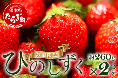 熊本県産いちご ひのしずく 約260g×2パック産地直送 国産 新鮮 フレッシュ 果物 苺 103-0005