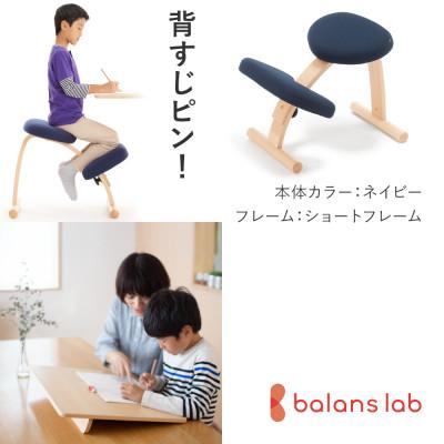 ふるさと納税 美濃市 バランスイージー ショート[ネイビー]+イージーライティングボードL【複数個口で配送】