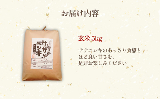 特別栽培米 ササニシキ 玄米 5kg