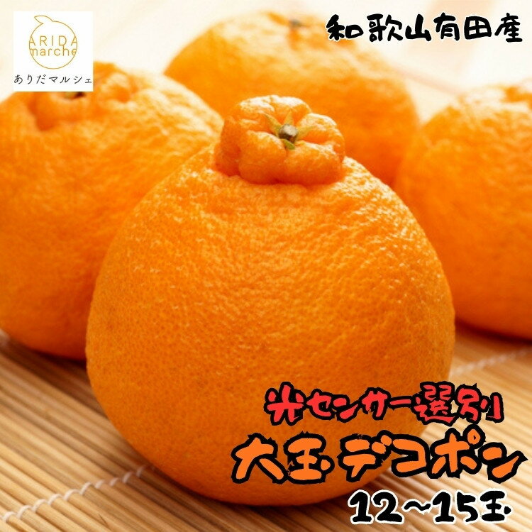 【ふるさと納税】和歌山有田の濃厚大玉デコポン 12～15玉 約5kg［先行予約］［MS79w］