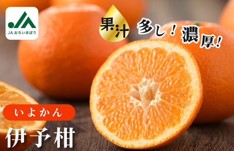 
                  【先行予約】伊予柑 10kg 【KB02080】
                