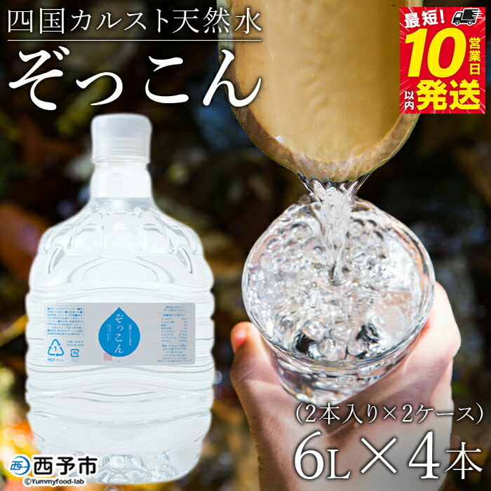 【ふるさと納税】＜四国カルスト天然水ぞっこん (6L×2本)×2ケース 計4本＞ 飲料 水 みず 中硬水 弱アルカリイオン水 ガロンボトル ウォーター バナジウム 備蓄 防災 キャンプ アウトドア 国産 特産品 ぞっこん四国 愛媛県 西予市【常温】『最短10営業日以内に発送予定』