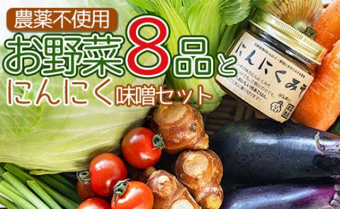 農薬不使用のお野菜8品とにんにく味噌のセット - やさい 詰め合わせ 詰合せ 旬の野菜 季節品 お楽しみ おまかせ お任せ ミソ みそ 調味料 特産品 国産 高知県 香南市 pr-0011