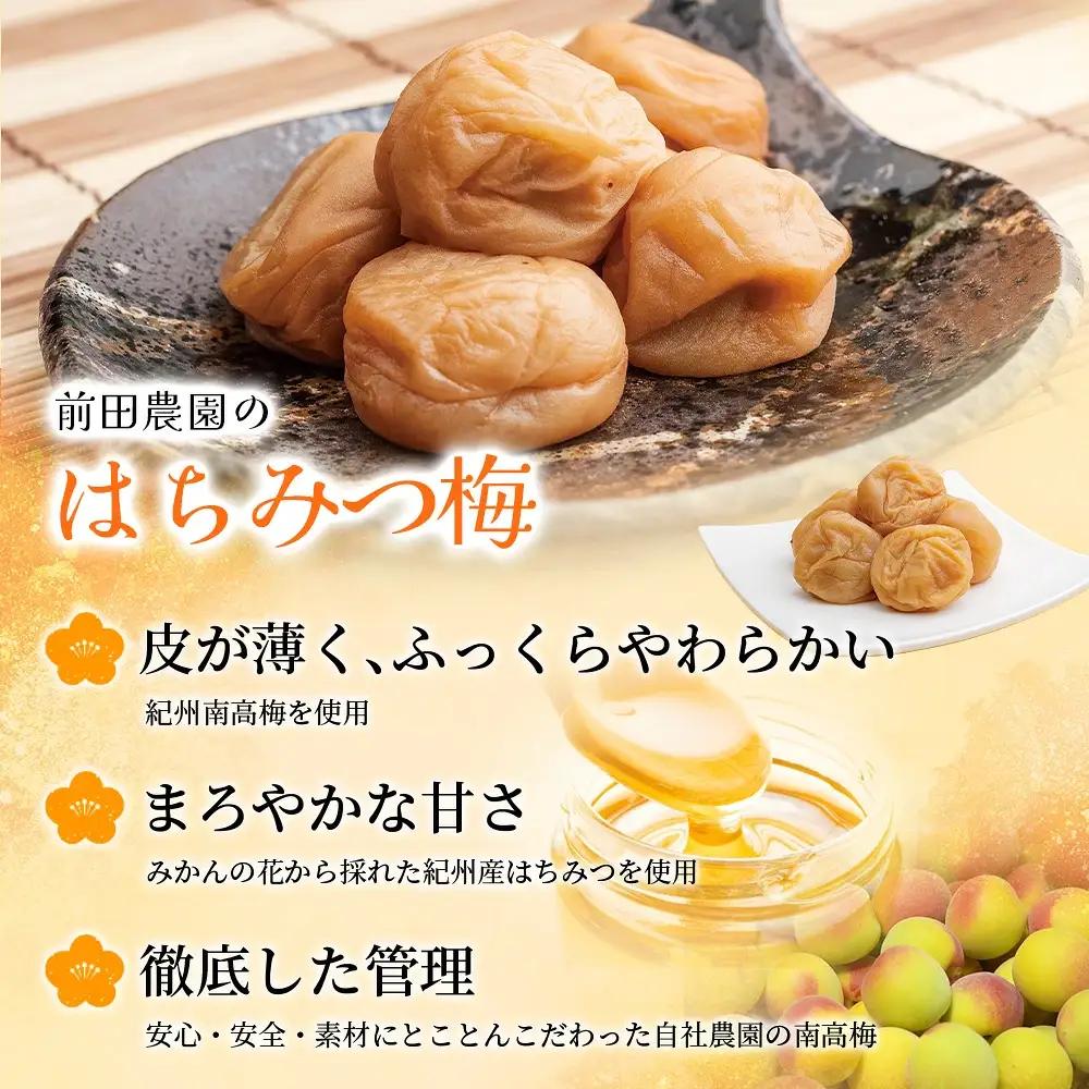 梅干し 大粒 お試し200g 紀州南高梅はちみつ漬け 200g 塩分10％  【mae006】