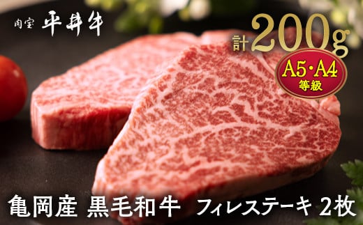 
            【7営業日以内発送】数々の誉れに輝く最高峰 黒毛和牛「平井牛」A5・A4 フィレ ステーキ 2枚 計200g 京都 丹波牧場 自家産≪希少 和牛 京都肉 冷凍 真空 ヒレステーキ ヒレ ヘレ 希少部位 ふるさと納税 牛肉≫
          