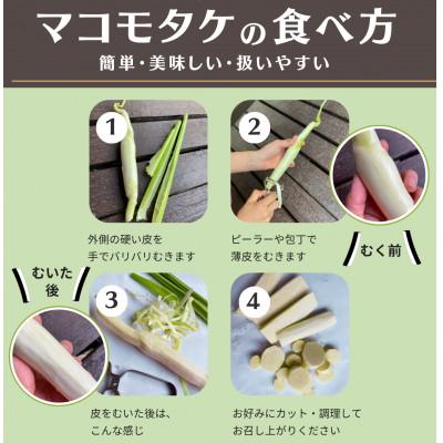 ふるさと納税 大磯町 かながわブランド 大磯マコモ(2kg 10〜18本程度)【栽培期間中農薬不使用】 |  | 03