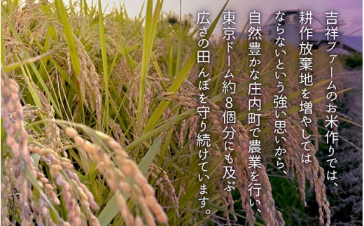 【令和8年産】吉祥ファーム はえぬき 2kg 2kg×1袋 優秀金賞受賞農家 庄内町産 ブランド米 米 国産 単一原料米 山形 庄内平野 山形県庄内